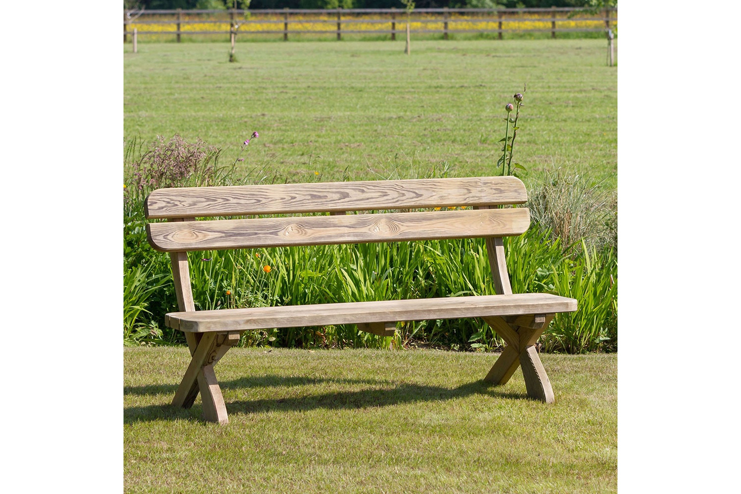 Harriet Bench