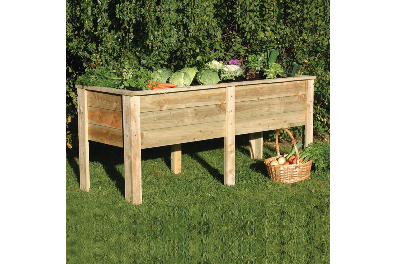 Deep Root Planter 1.8M